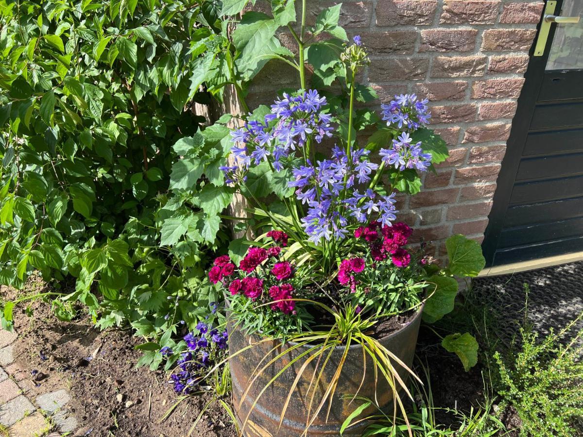 Supergezellig Vakantiehuis Met Hele Grote Tuin Bij Nijmegen Ewijk Экстерьер фото