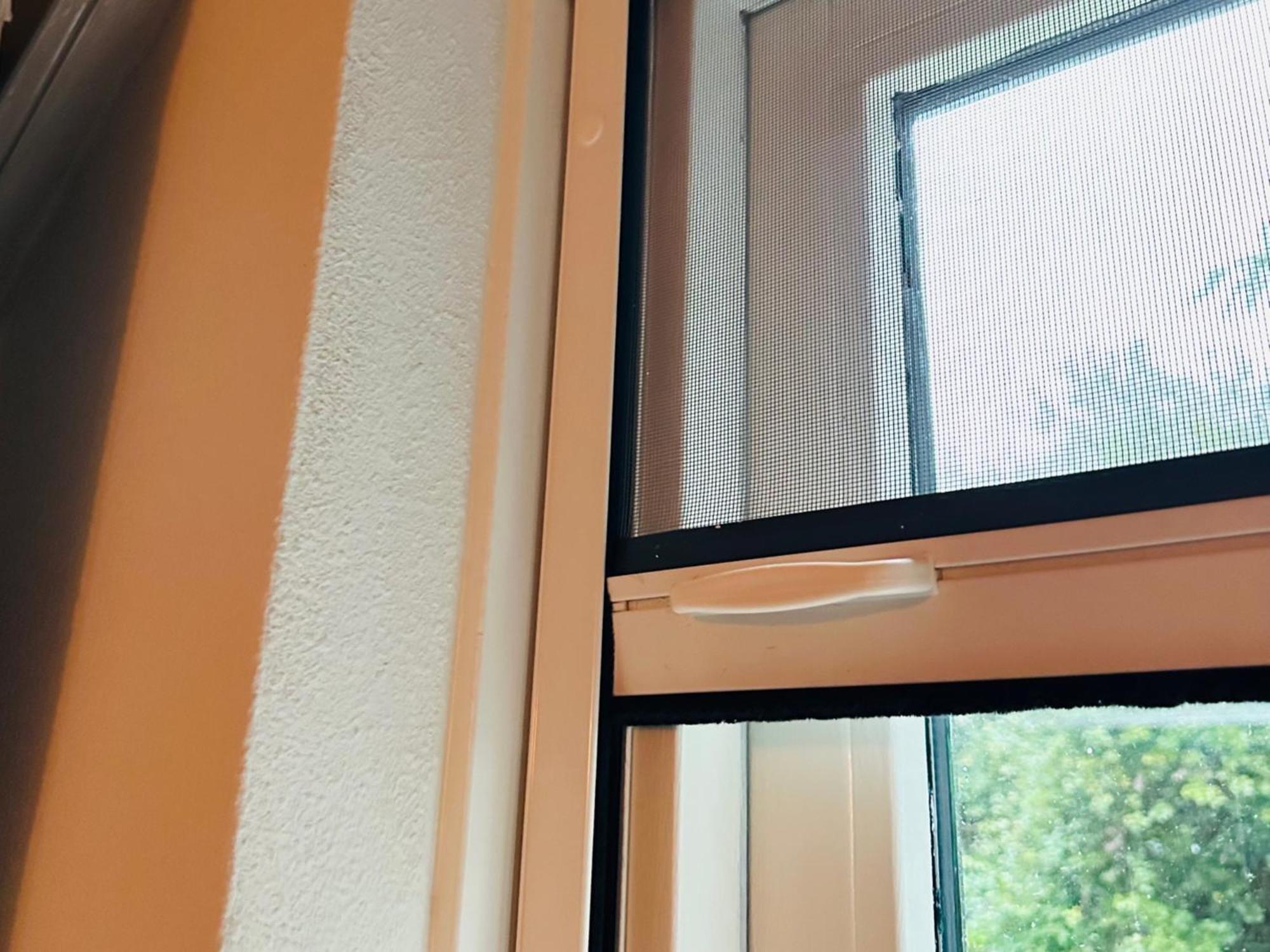 Supergezellig Vakantiehuis Met Hele Grote Tuin Bij Nijmegen Ewijk Экстерьер фото